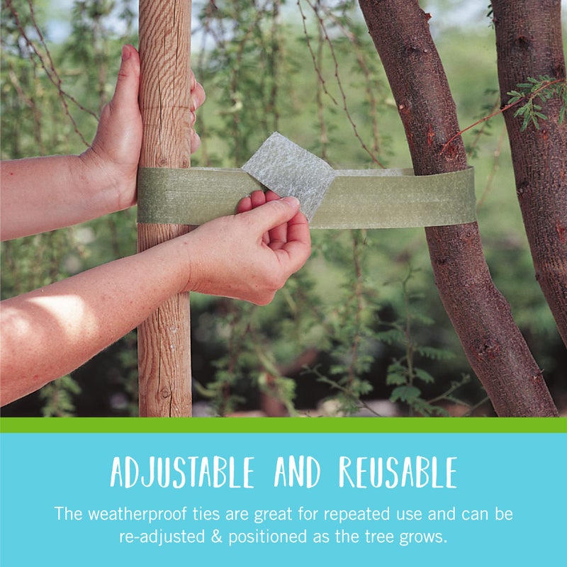 Velcro أربطة فيلكرو براند ون-راب | دعم الأشجار والنباتات للنمو الفعال | قبضة حديقة قوية قابلة لإعادة الاستخدام وقابلة للتعديل | قابلة للقطع حسب الطول، 18 قدم × 2 بوصة، بلاستيك معاد تدويره باللون الأخضر - Image 3